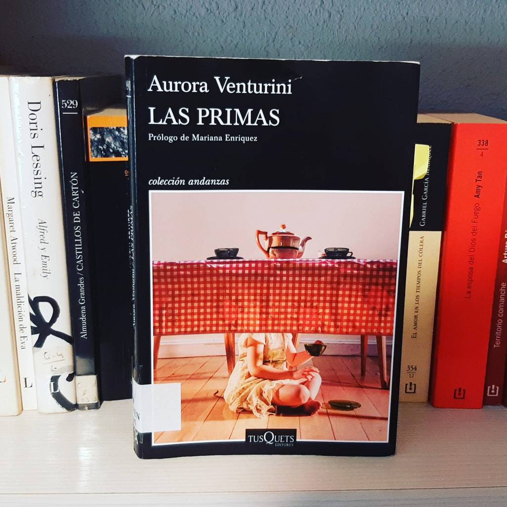 Ayer volvimos a la carga en el Club de Lectura Libre de Libreramente. Y volvimos pisando fuerte con Las primas de Aurora Venturini. Nos va la marcha.
Arrancamos en plena pandemia y áste es ya nuestro tercer curso. Tempus fugit y leyendo y compartiendo entre amigas mucho más.&nbsp;ð