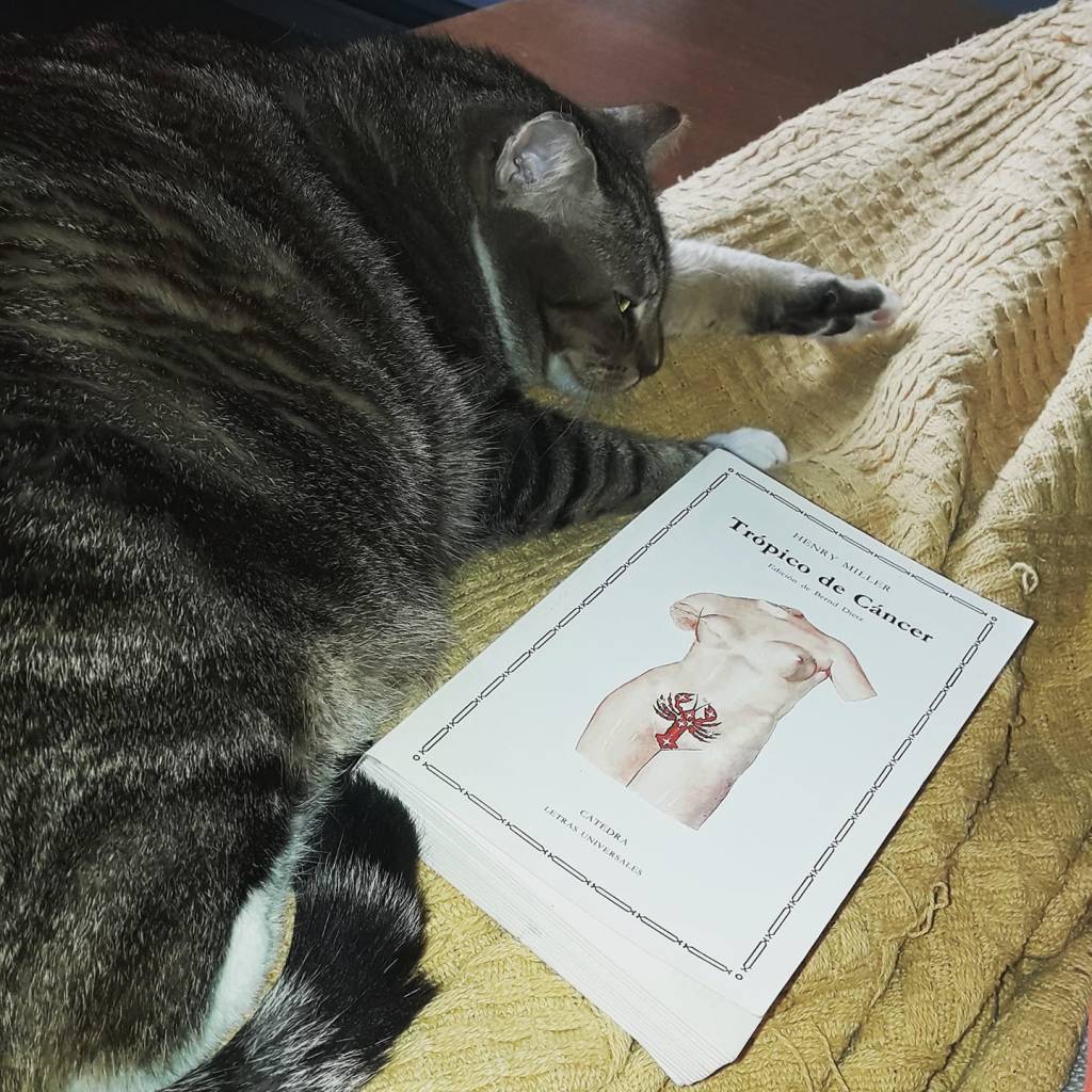 Releemos Trópico de Cáncer. Con Henry Miller empezamos el curso en&nbsp;Gizatiar.