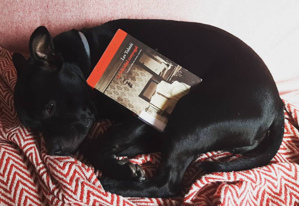 Esta tarde hablaremos de La felicidad conyugal en nuestro club de lectura de Santurtzi.
La clave de la felicidad conyugal está en poner un salchichanchi en tu vida. Un plus de ternura en tu hogar.
Seguidme para más consejos matrimoniales. Ah, y recomendaciones literarias,&nbsp;claro.