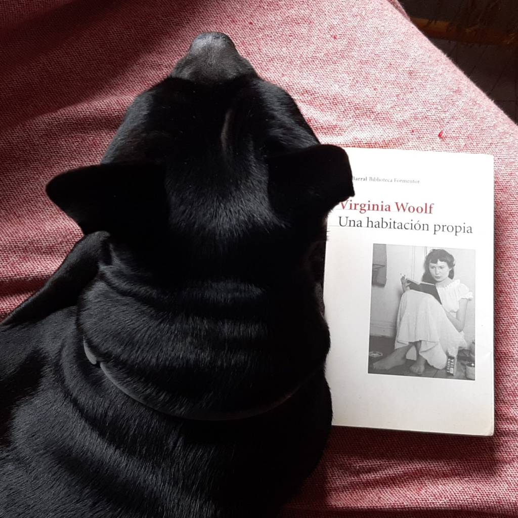 Despedimos diciembre comentando este ensayo mí­tico de Virginia Woolf. Creo que fue el primer ensayo feminista que leí­ (este libro lleva conmigo 21 ó 22 años) y, sin duda, la Woolf fue mi primera gran despertadora. Nunca volví­ a ver el mundo igual y jamás me quitá ya las gafas moradas.
A ver quá me comentan hoy las alumnas, si han sacado provecho o no de su lectura. Para mí­ es imprescindible. Â¿Habáis leí­do este&nbsp;ensayo?