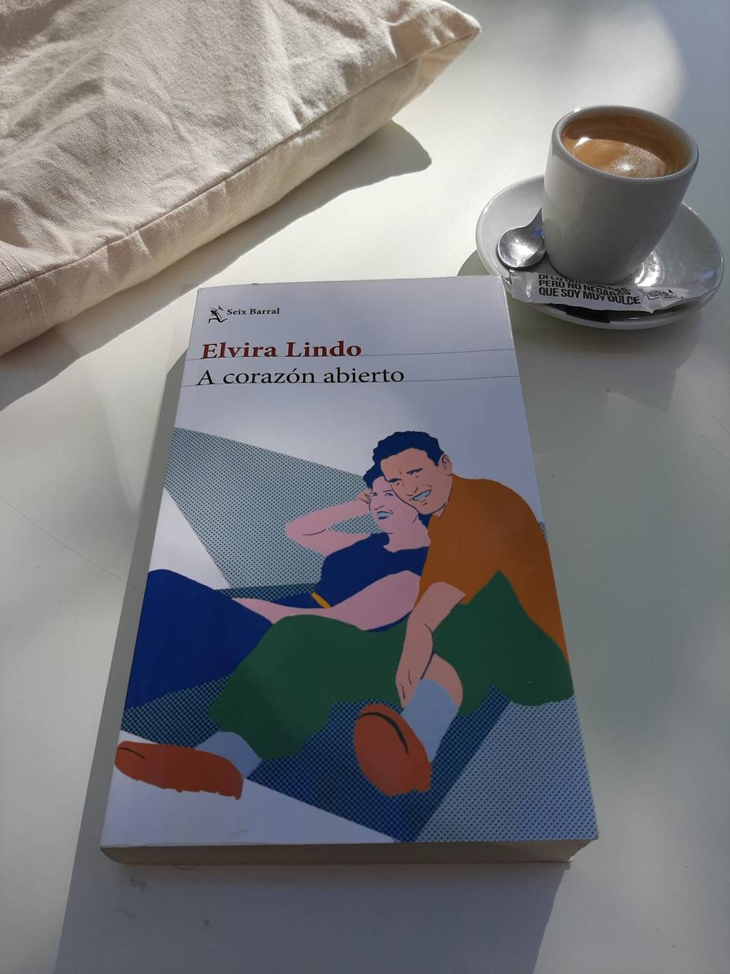 En unos minutos, en Leioa, charlaremos sobre A corazón abierto, la deliciosa novela de Elvira Lindo. Una gozada leerla, como siempre.&nbsp;ð
