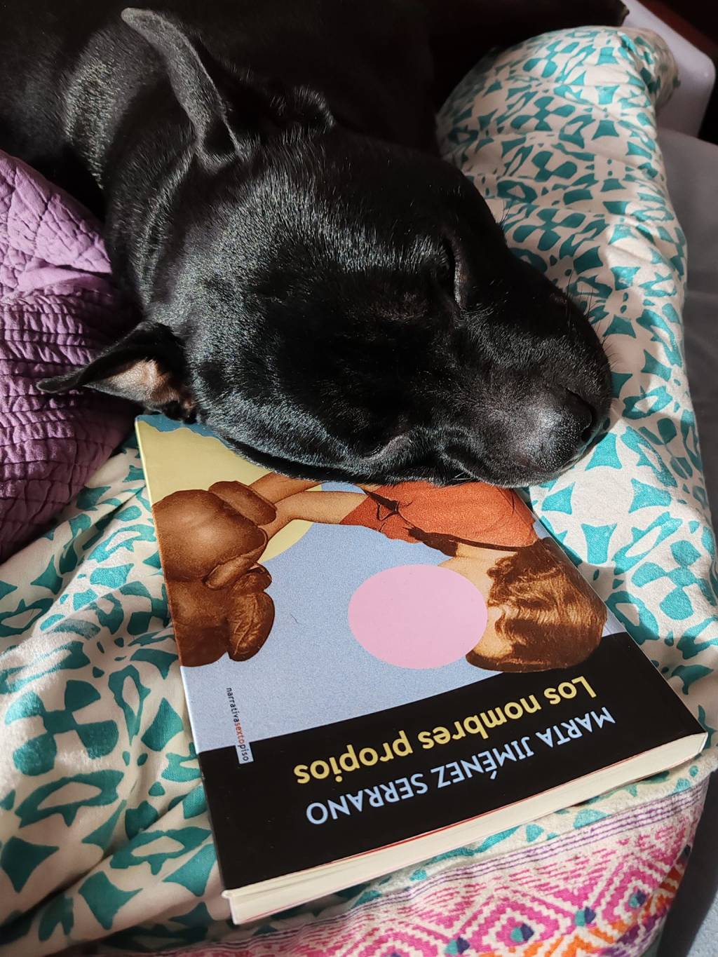 Esta tarde en el club de lectura de Mungia tenemos una cita con Los nombres propios de @martajserrano, publicada por @sextopisoeditorial. Un plan ideal para una tarde un tanto desapacible. Aunque el plan de Jaun tampoco está nada&nbsp;mal.