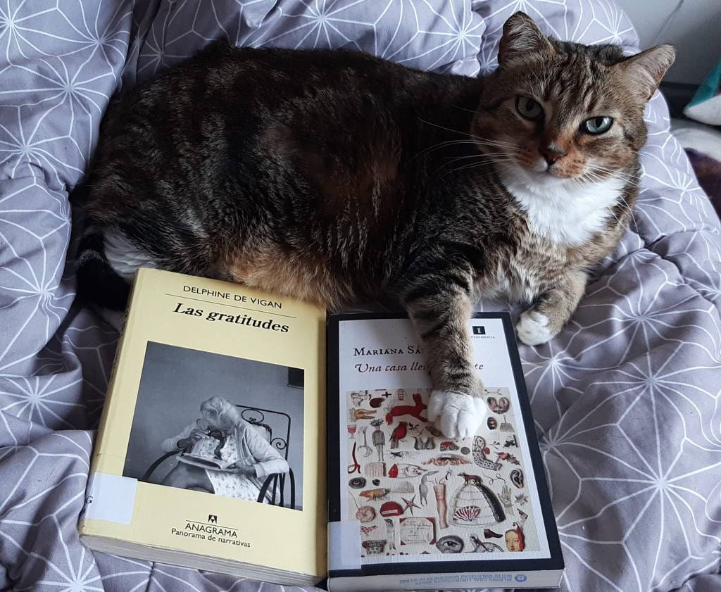 Me encanta la teoría de @eduardohalfon sobre los lectores. Soy lectora relectora. No se puede ser otro tipo de lectora dinamizando nueve clubes de lectura al mes, más los otros cuatro cursos de literatura que tambián imparto.
A veces me da un poco de ansiedad lectora cuando pienso en todos los libros a los que no voy a llegar. Pero otras veces, la mayoría, releo y me siento afortunada de tener la oportunidad de volver a ciertas obras que siempre esconden algo más.
El miárcoles hablamos sobre Una casa llena de gente de @marianasandez_literatura, de su genial estructura y juego formal.
El martes volverá a hablar de Las gratitudes, libro que habría de ser lectura obligatoria para todos en esta vida.