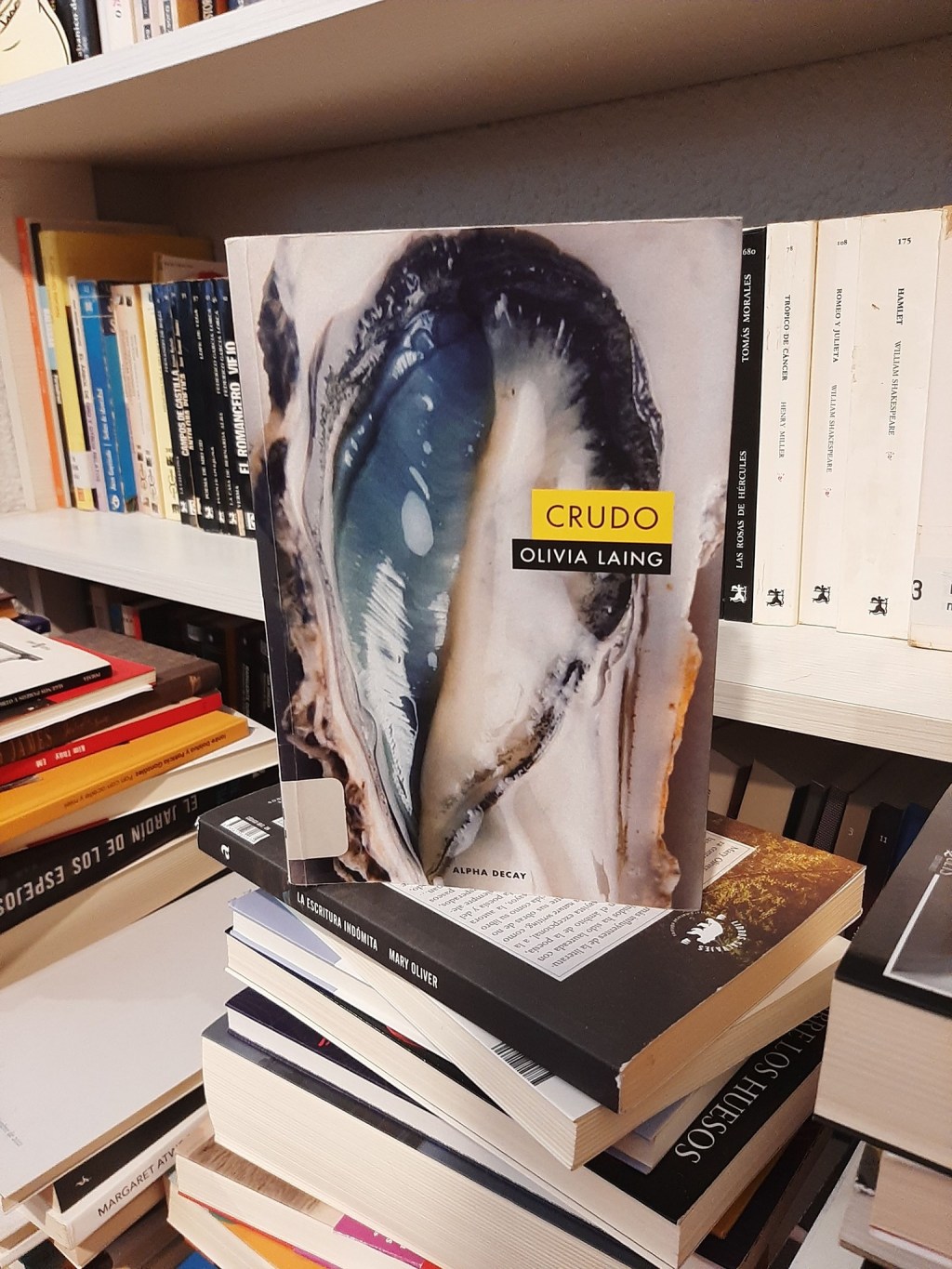 He compartido con Kathy los mismos días de agosto, con 6 años de diferencia. Casi hasta el final he tenido la sensación de no saber exactamente hacia dónde iba, pero lo cierto es que me ha gustado este librito de Olivia Laing publicado por @alphadecay_editorial.