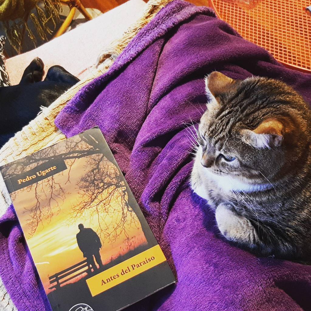 Ayer en Mungia charlamos sobre Antes del Paraí­so de Pedro Ugarte. Es un libro de relatos, publicado por Páginas de espuma, que me gusta especialmente. Está muy bien escrito, es inteligente, te arranca alguna que otra risa y da para hablar un rato largo.
Me gusta, sobre todo, porque en cada relectura (y van unas cuantas) me permite sumergirme un poquito más en las profundidades de lo que Ugarte sugiere pero no&nbsp;cuenta.