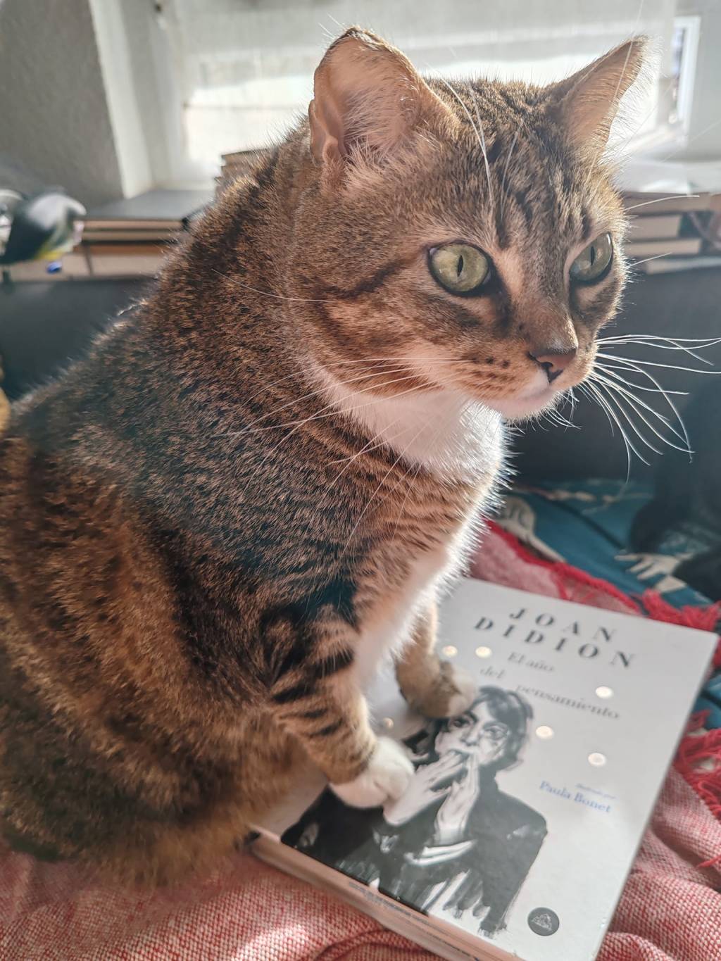 El año del pensamiento mágico, de Joan Didion, ha sido la segunda lectura del&nbsp;2024.