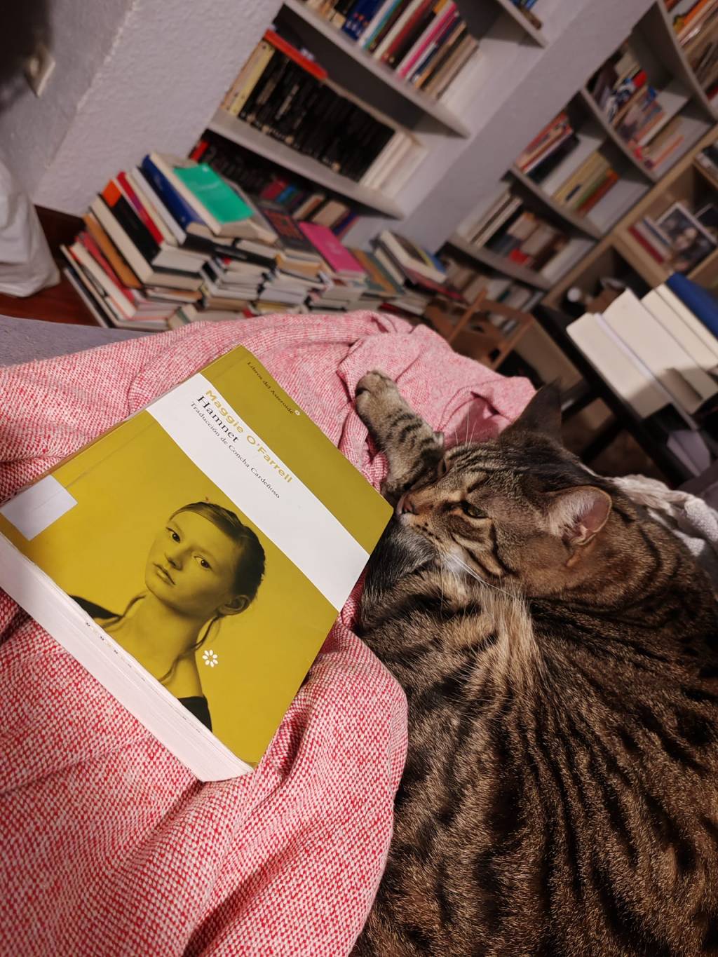 Hammet – Maggie&nbsp;O’farrell