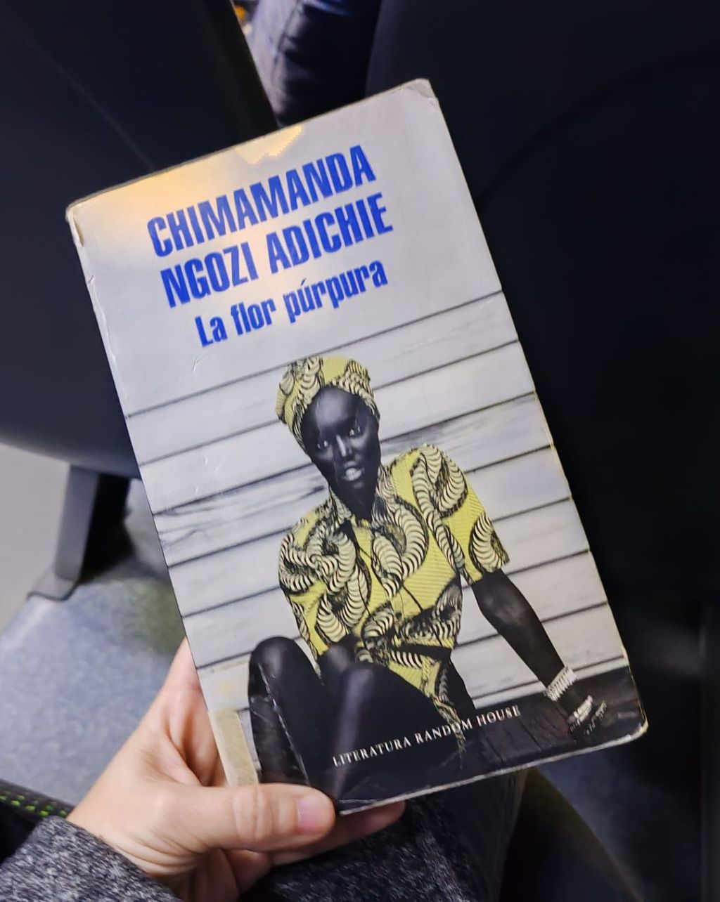 La flor púrpura de Chimamanda Ngozi&nbsp;Adichie