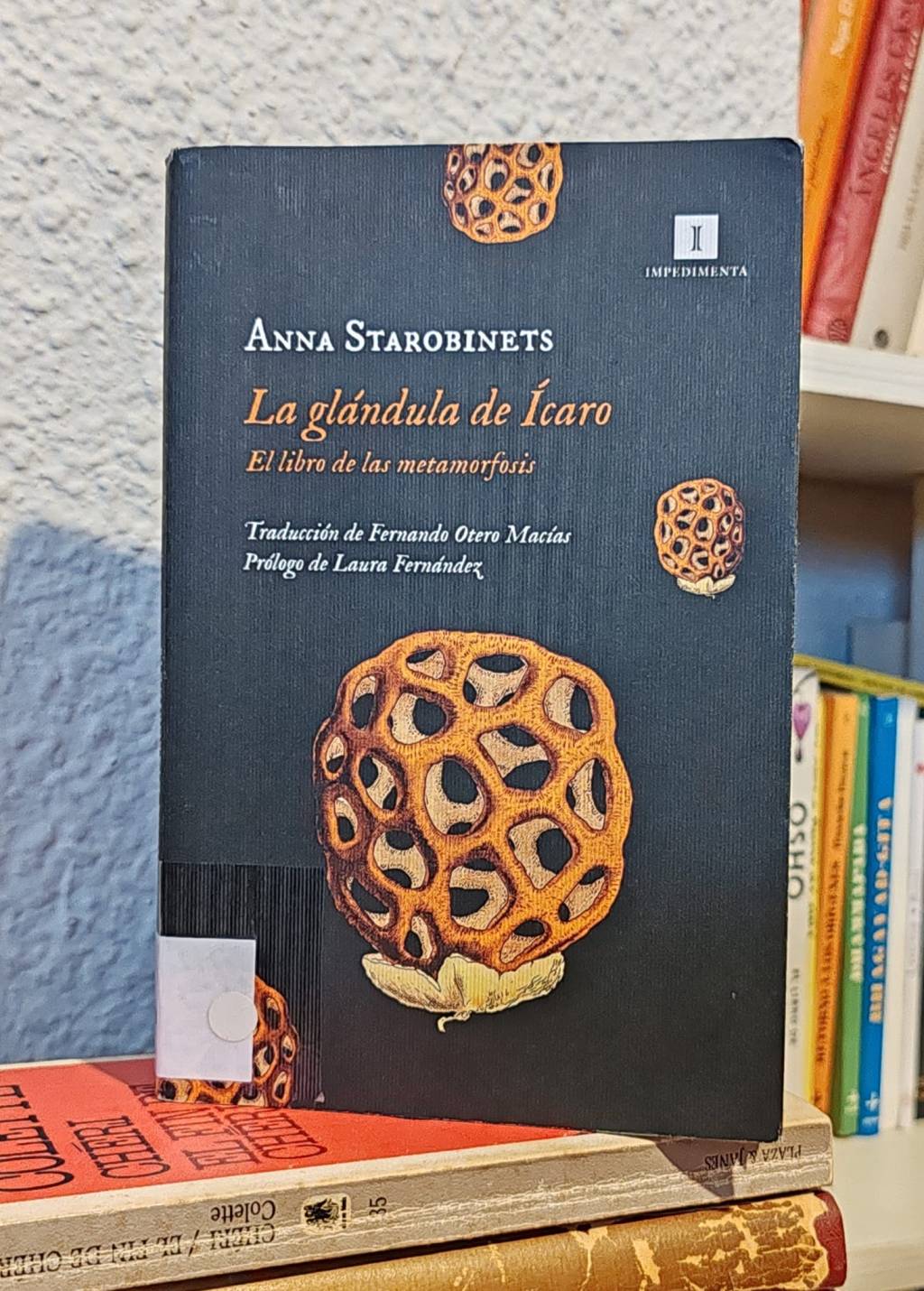 La Glándula de Ícaro – Anna&nbsp;Starobinets