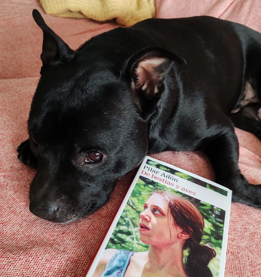 De bestias y aves – Pilar&nbsp;Adon