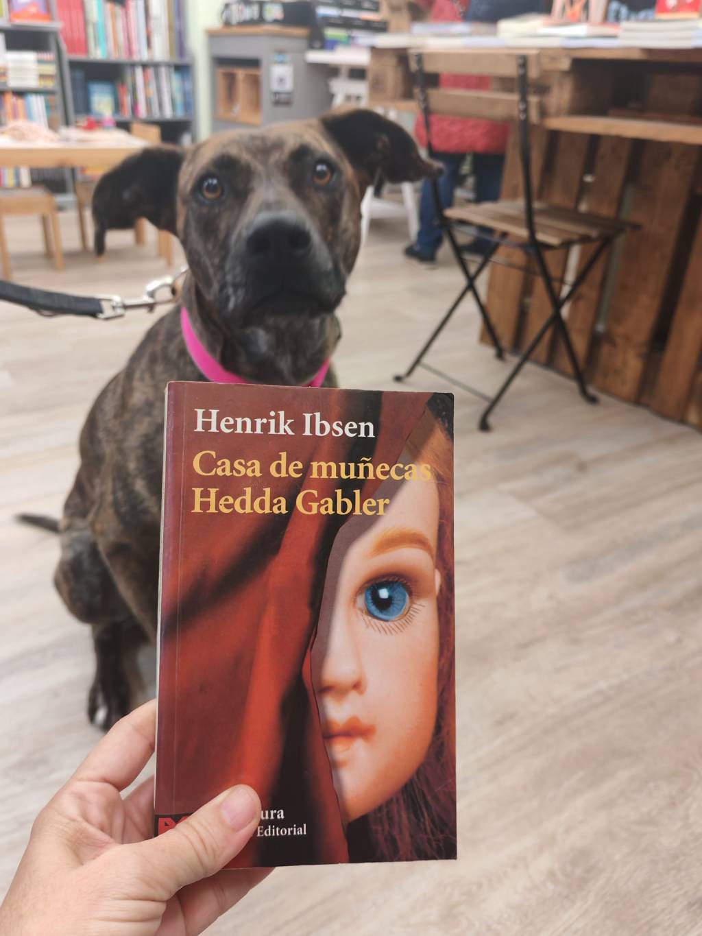 Taller de teatro en Libreramente: Henrik&nbsp;Ibsen