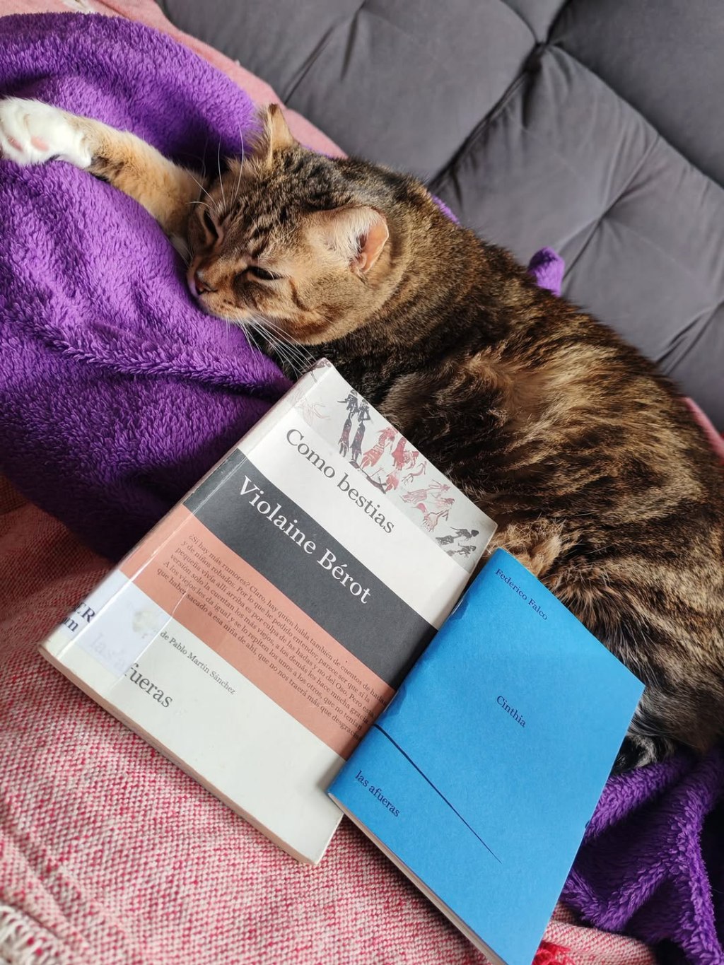 Como bestias – Violaine&nbsp;Bérot